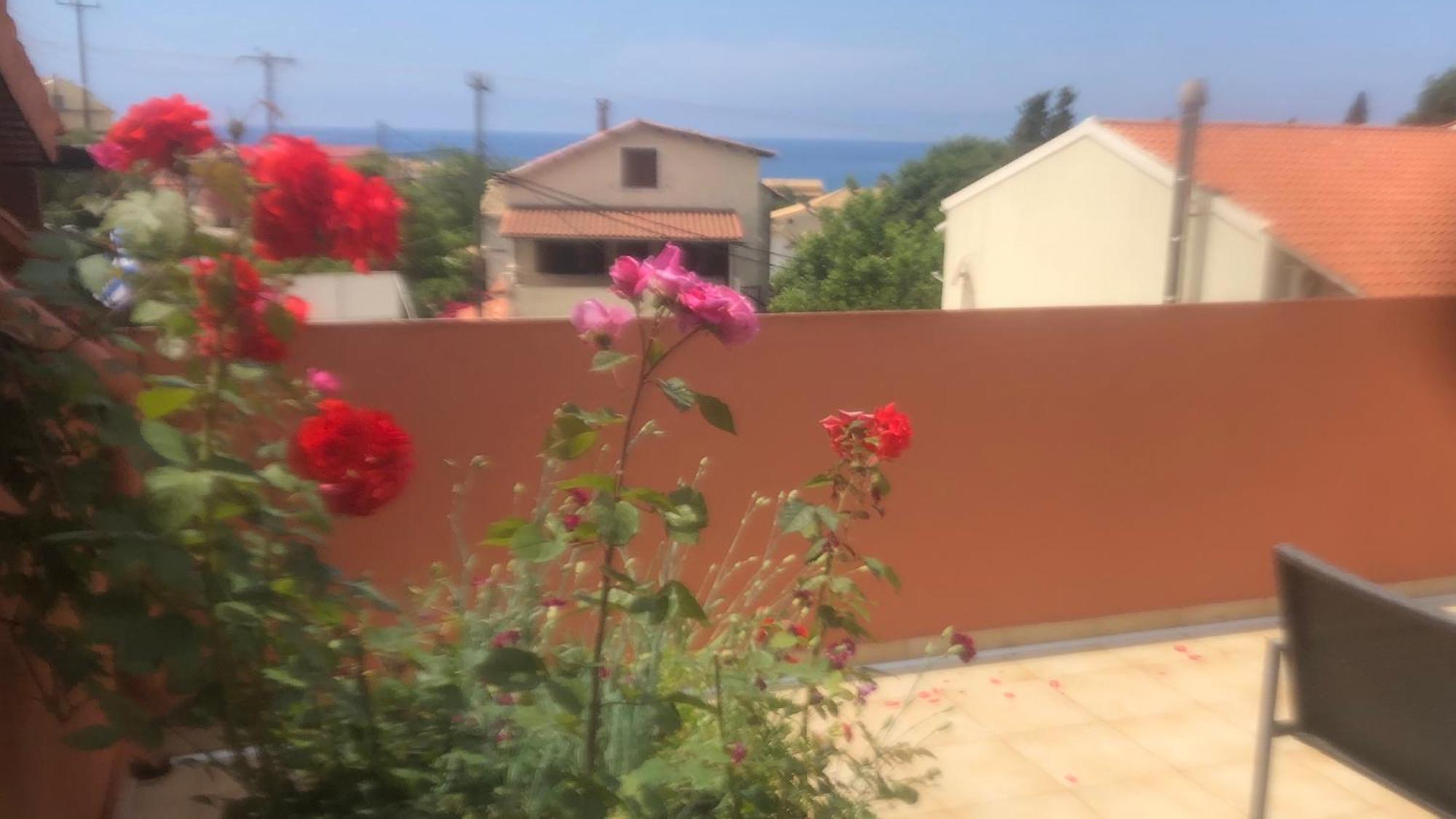 Pandora'S Corfu Apartments Agios Gordios  Exterior photo